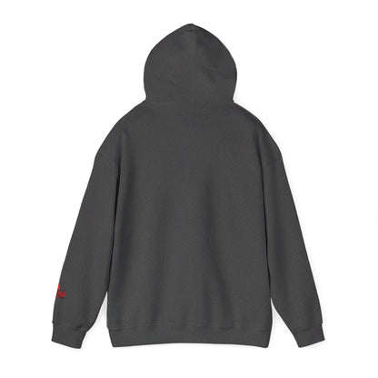 Cozy Teddy Basketball Hoodie